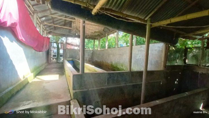 জমি ভাড়া দেওয়া হবে